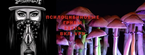 тгк Алзамай