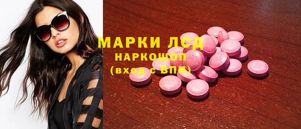 тгк Алзамай