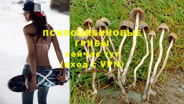 тгк Алзамай